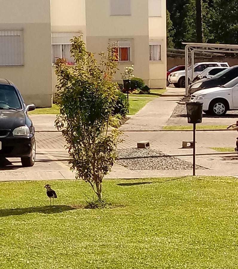 Apartamento Canela Bela Εξωτερικό φωτογραφία